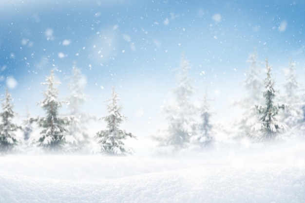 Snowdrifts against the backdrop of a winter snowy forest