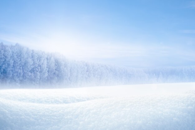 晴れた凍るような日の雪の吹きだまりと冬の森