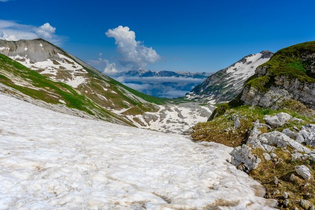 The snowdrifts and green grass on top of mountains in the tropical forest