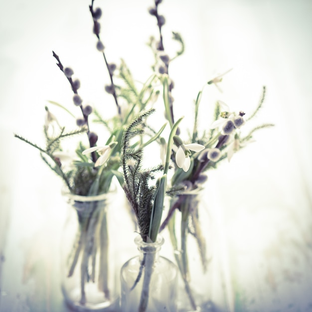 Snowdrops in the bottles, spring bouquets with shallow DOF