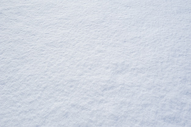 snowed floor 