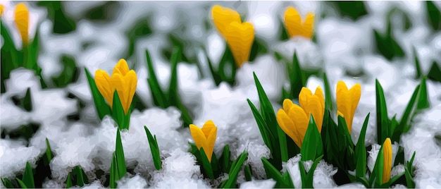 降雪の花 春の野生の花 自然の美しい草 雪光の花の枝のスケッチ 開花植物