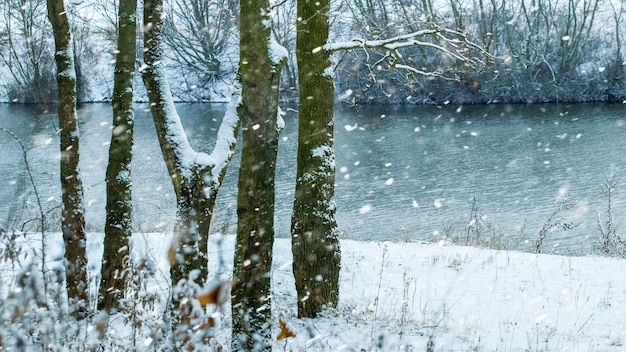 Snowfall in the forest near the river, winter landscape