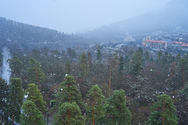 Snowfall in the mountain forest. Bad weather in the mountains. Snow flakes on the background of the forest.