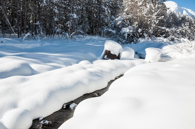 Nevicata sul fiume di montagna. bellissimo paesaggio invernale