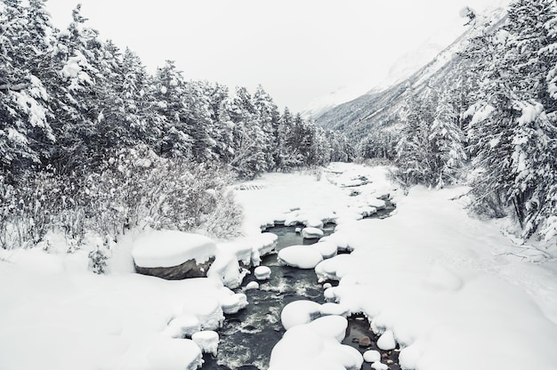 川の降雪。美しい冬の風景。