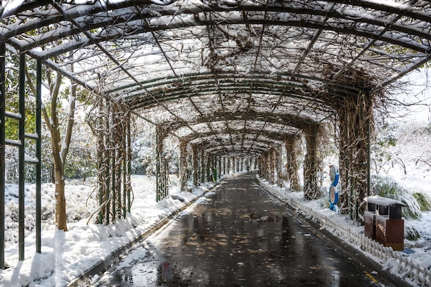 Snowfall Urban tracks during a heavy snowfall in winter Passage to an arch covered with snow