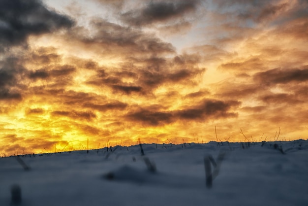 Snowfield and colorful sunset