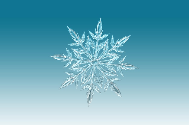 Photo snowflake ice crystal nature hd image