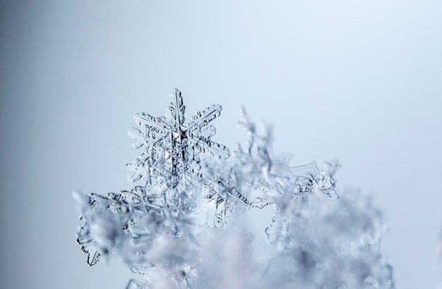 写真 雪の冬の季節のスノーフレーク