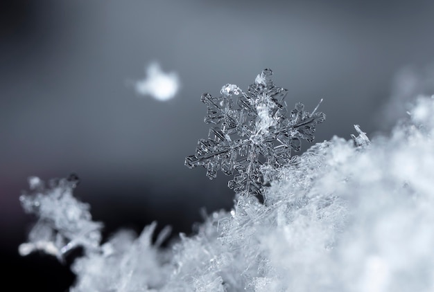 自然な雪の吹きだまりの雪の結晶は、クリスマスと冬の背景をクローズアップ