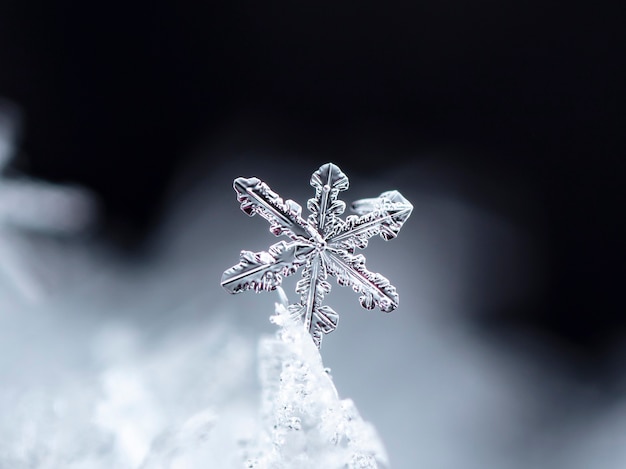 自然な雪の吹きだまりの雪の結晶は、クリスマスと冬の背景をクローズアップ