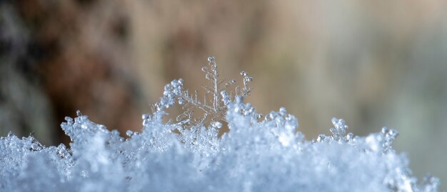 Fiocco di neve sul cumulo di neve naturale vicino a natale e sfondo invernale