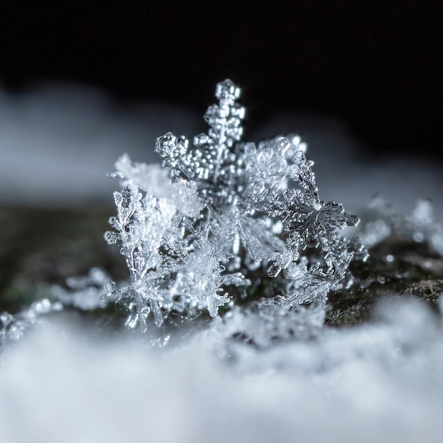 自然な雪の吹きだまりの雪の結晶は、クリスマスと冬の背景をクローズアップ