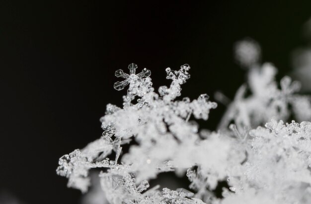 自然な雪の吹きだまりの雪の結晶は、クリスマスと冬の背景をクローズアップ