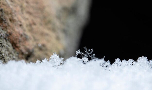 写真 自然な雪の吹きだまりの雪の結晶は、クリスマスと冬の背景をクローズアップ