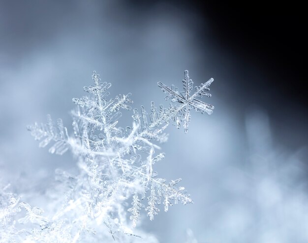 写真 自然な雪の吹きだまりの雪の結晶は、クリスマスと冬の背景をクローズアップ