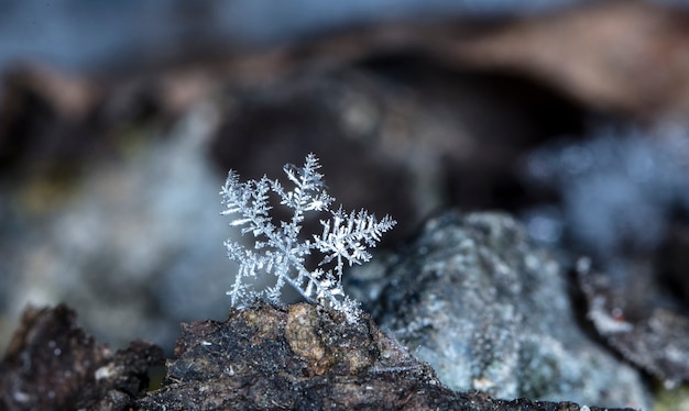 snowflake on snow, snow