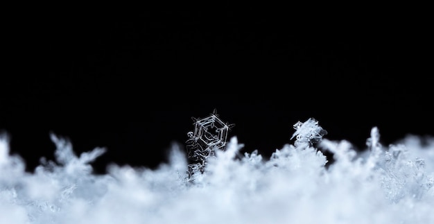 Snowflake on snow Winter holidays and Christmas background