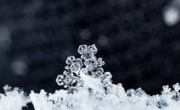 Photo snowflake in the snow winter season