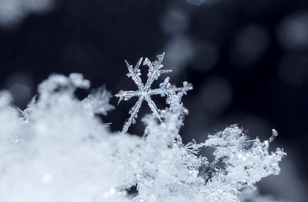 Photo snowflake in the snow winter season