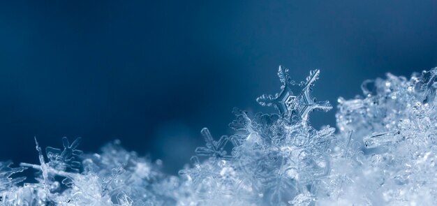 雪の冬の季節のスノーフレーク