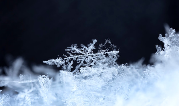 Photo snowflake in the snow winter season