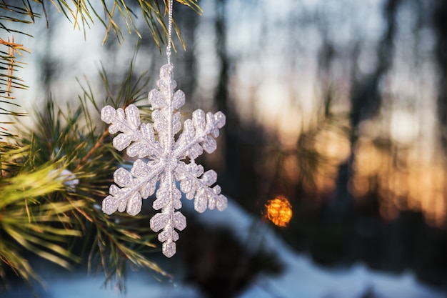 Foresta nevosa del fiocco di neve al tramonto