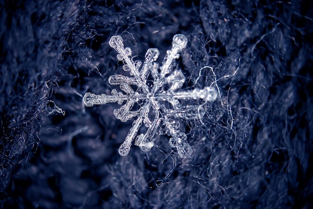 Snowflakes on the background of gray wool