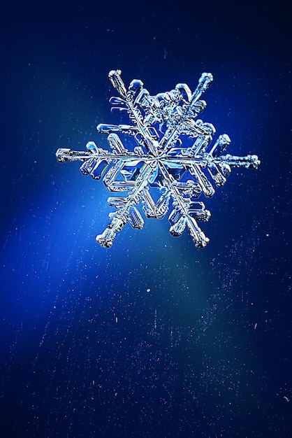 Snowflakes on a blue background