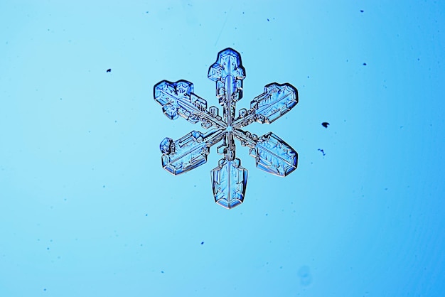 Snowflakes on a blue background