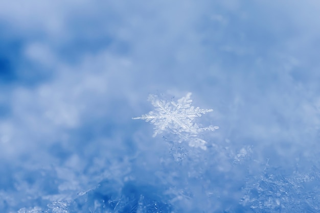 Primo piano dei fiocchi di neve. foto macro. il concetto di inverno, freddo. copia spazio.