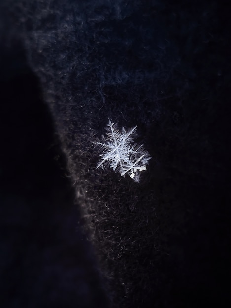 Snowflakes close-up.