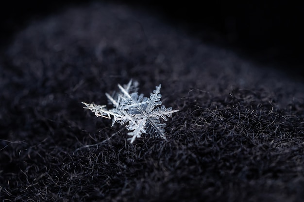 Snowflakes close-up.