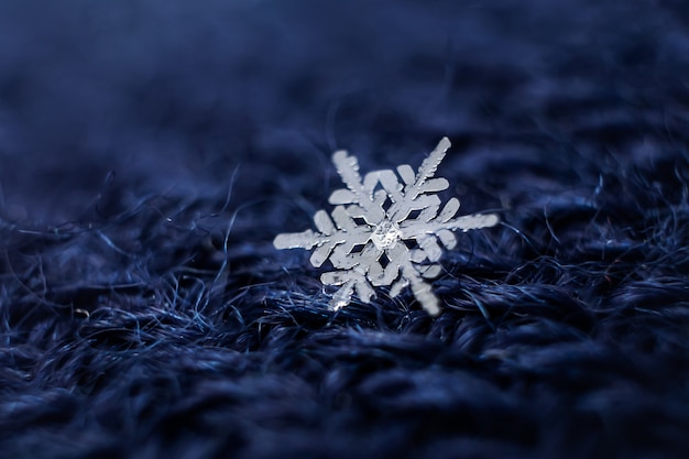 Photo snowflakes close-up.