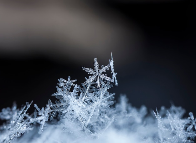 Фото Снежинки во время снегопада