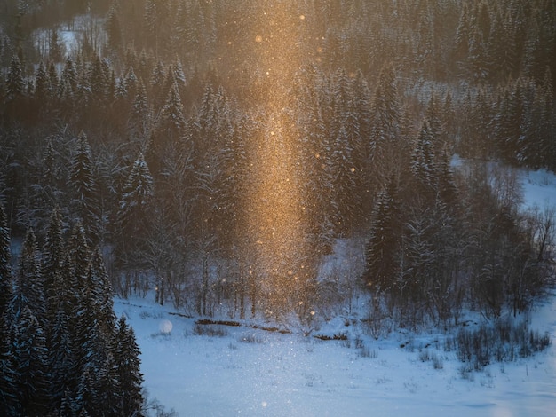 写真 雪花は太陽に照らされて空を飛ぶ