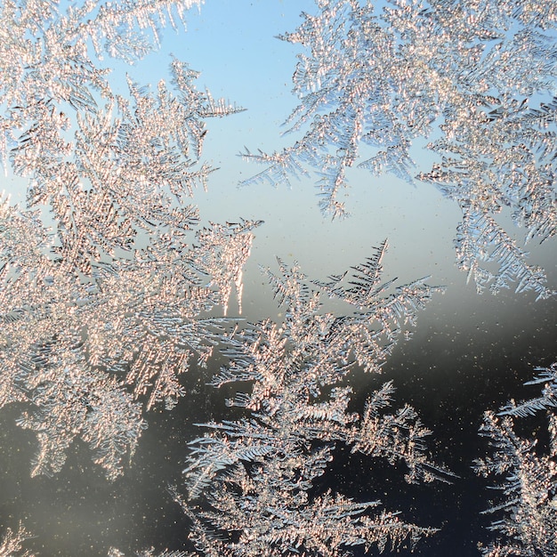 Snowflakes frost rime macro on window glass pane