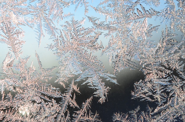 窓からすに雪の霜霜