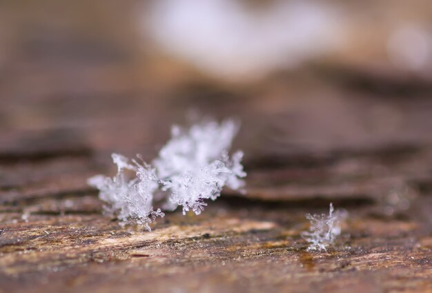 Snowflakes during the snowfall on glass surface.