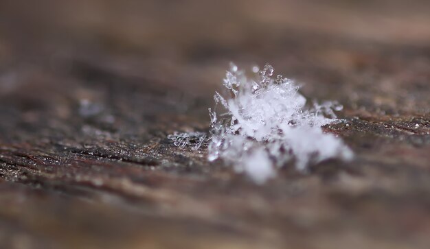 Snowflakes during the snowfall on glass surface.