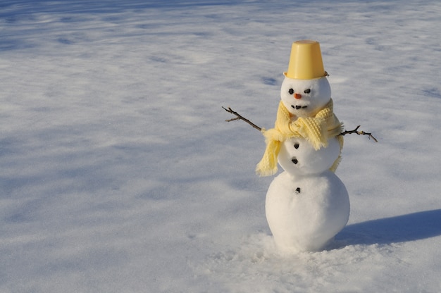 Foto pupazzo di neve decorato nel campo invernale