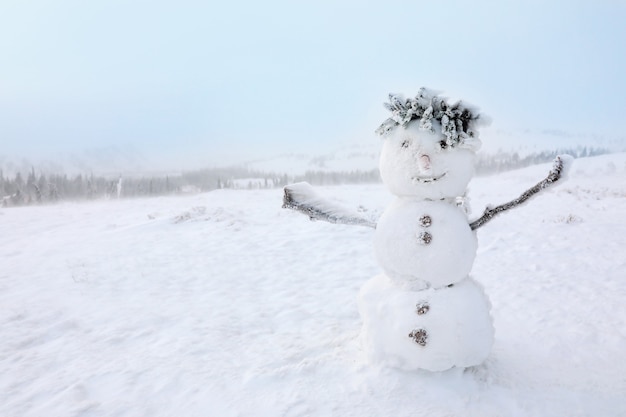 凍るような日に雪だるま