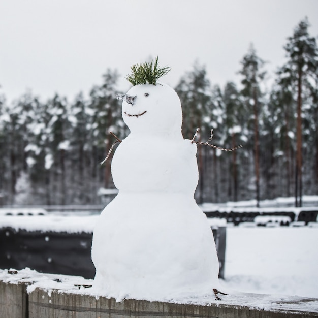 雪だるま。雪だるまを作る。ヨーロッパで最初の雪。雪だるまを作る。