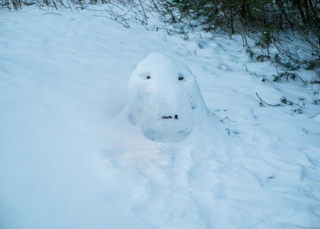 雪だるまが太陽の下で溶ける雪だるまが太陽の下で溶ける