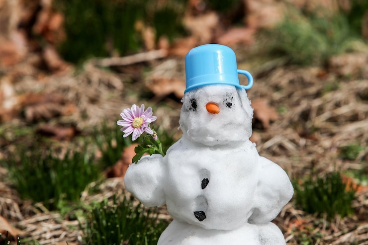 Photo snowman standing on grass with flower in his hand