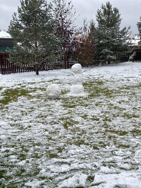 Foto un pupazzo di neve in piedi sull'erba verde