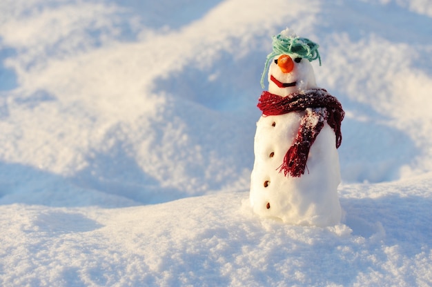 冬のクリスマスの雪だるま