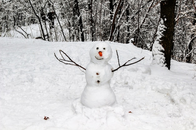 Снеговик в зимнем лесу. Сделано вручную. Закрыть вверх