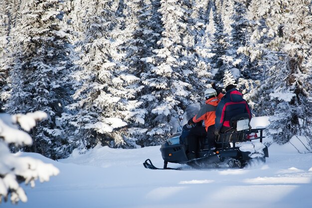 Snowmobiling in the frozen forest